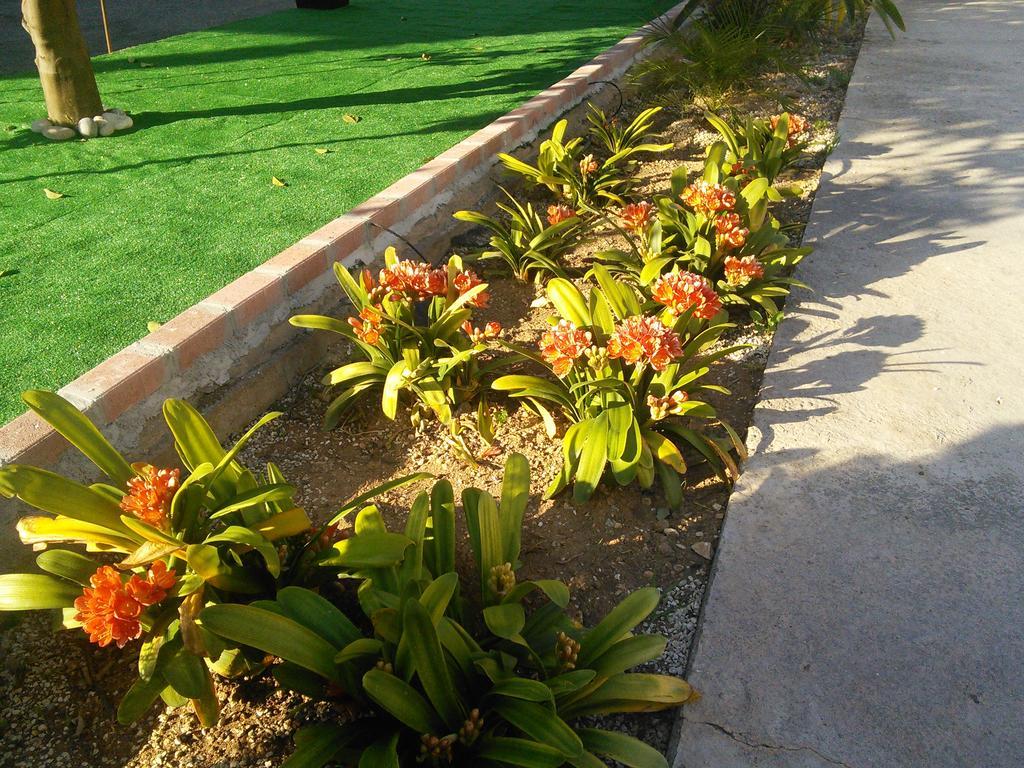 Zoe'S Court Aparthotel Klorakas Ngoại thất bức ảnh